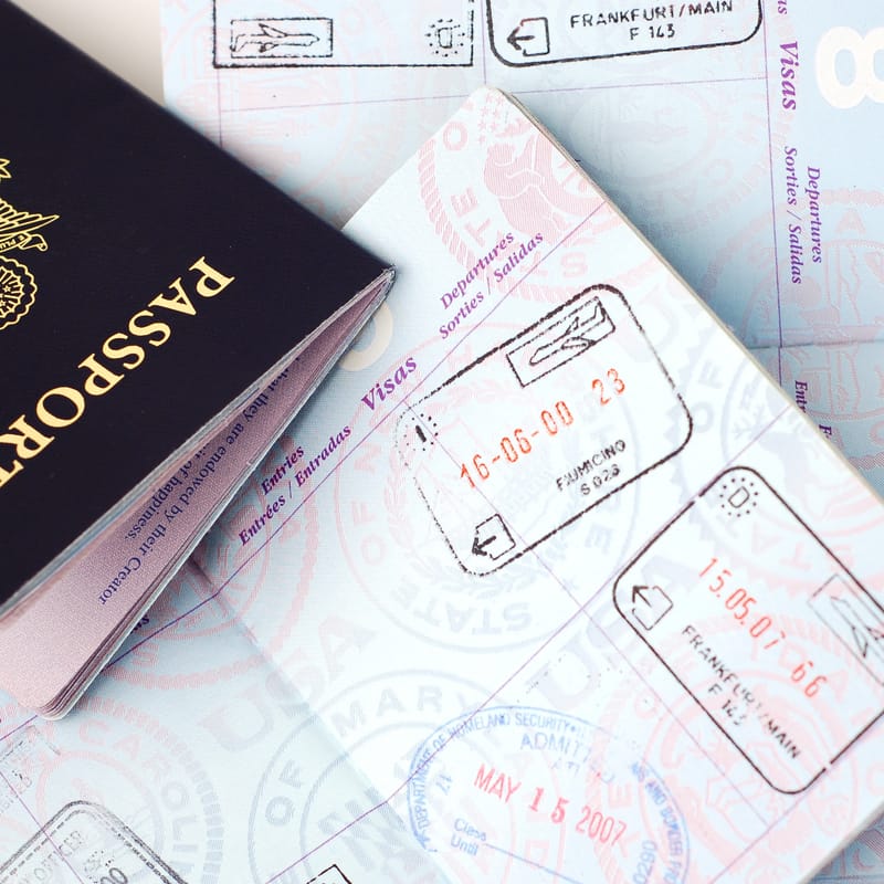 강제퇴거명령 취소