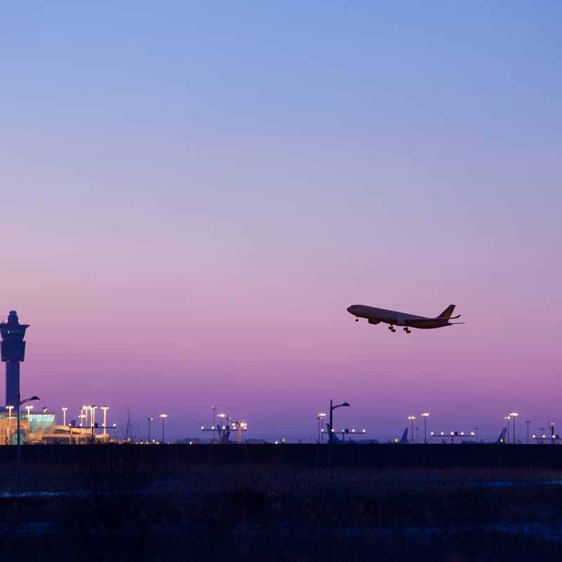 강제출국 구제